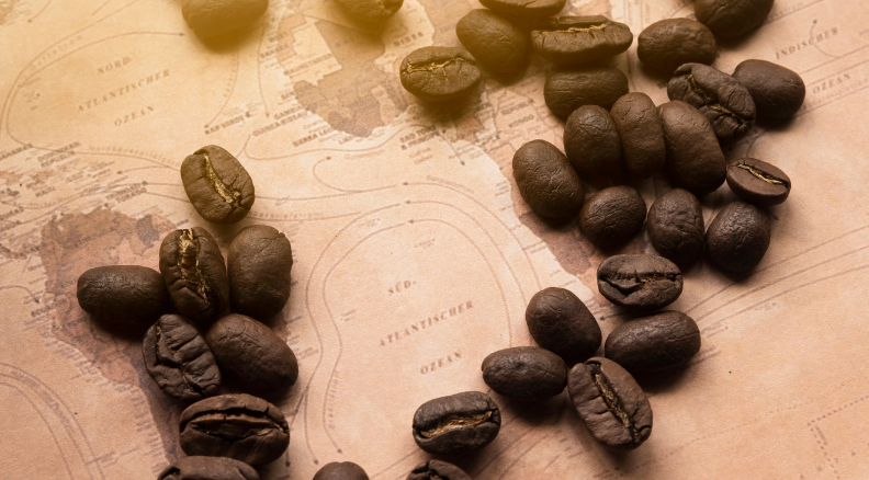 Café: Uma Viagem Aromática