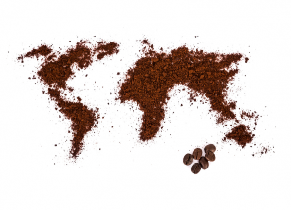 O Café como uma Ponte Cultural