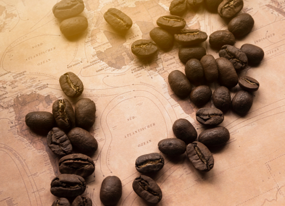 Coffee: An Aromatic Journey